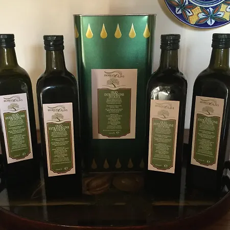 Agriturismo Borgo Tra Gli Olivi Castiglion Fiorentino