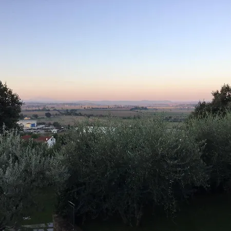 Farm stay Agriturismo Borgo Tra Gli Olivi *