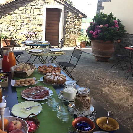 Borgo Tra Gli Olivi Gospodarstwo agroturystyczne Castiglion Fiorentino