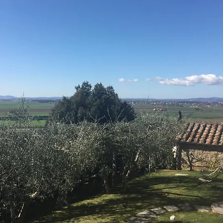 Gospodarstwo agroturystyczne Borgo Tra Gli Olivi Castiglion Fiorentino